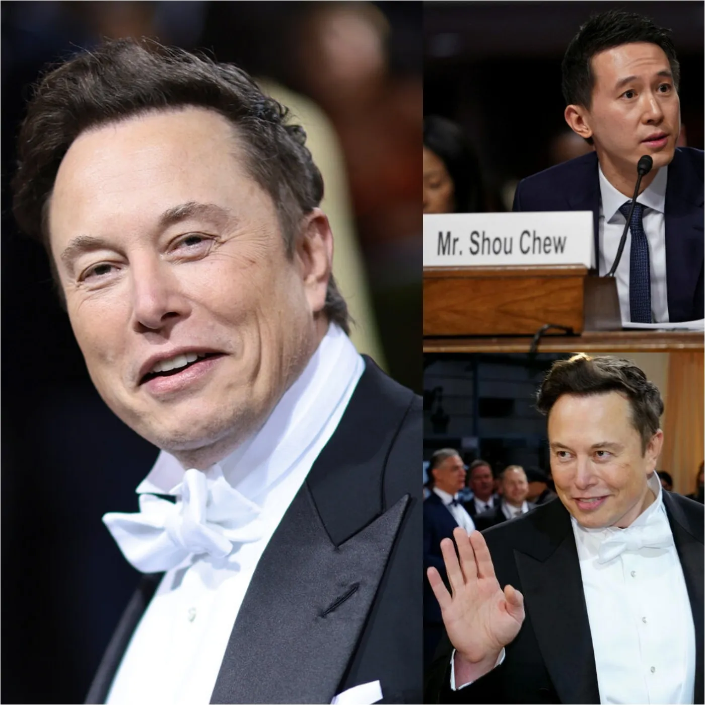 TikTok CEO Shou Zi Chew in Frequent Contact with Elon Musk Amid Concerns Over Possible Ban