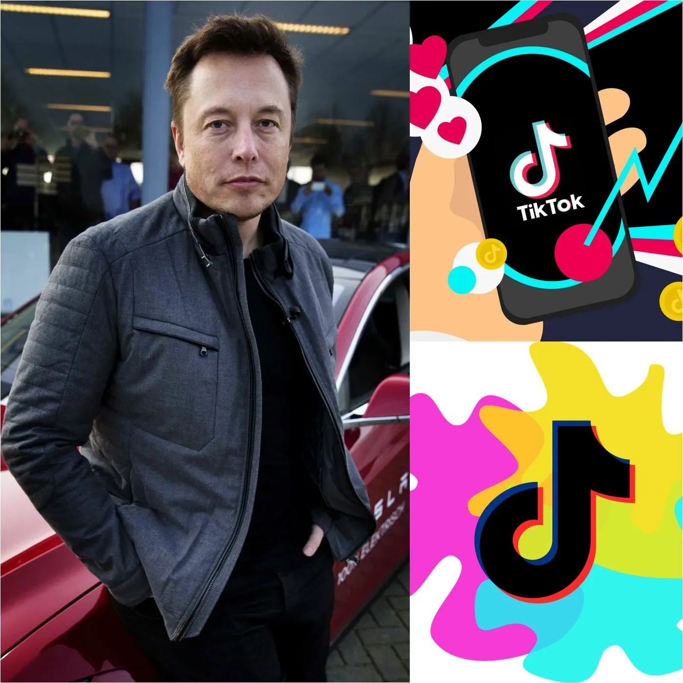 Elon Musk Spends $10 Million to Acquire Exclusive Control of TikTok