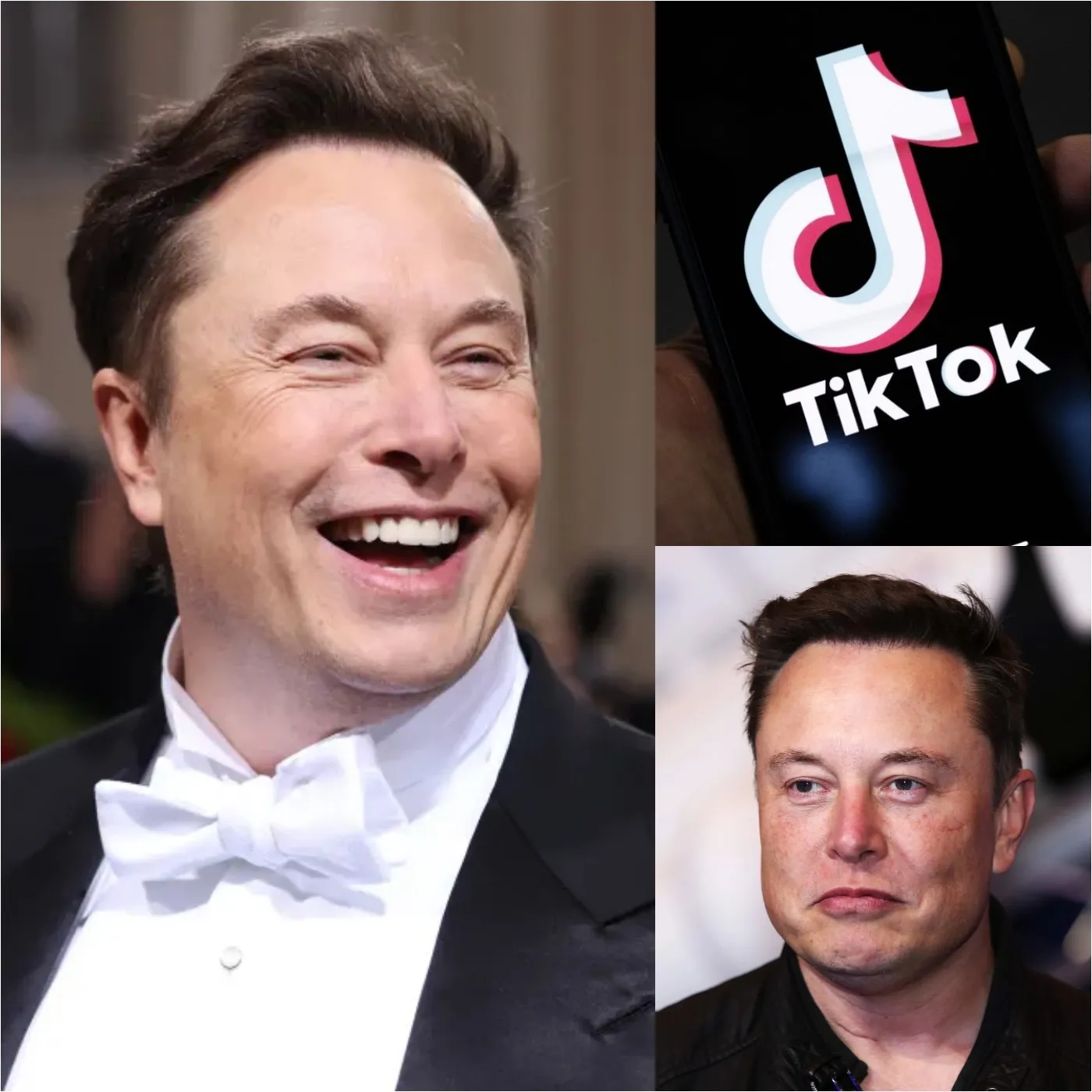 Elon Musk Spends $10 Million to Acquire Exclusive Control of TikTok