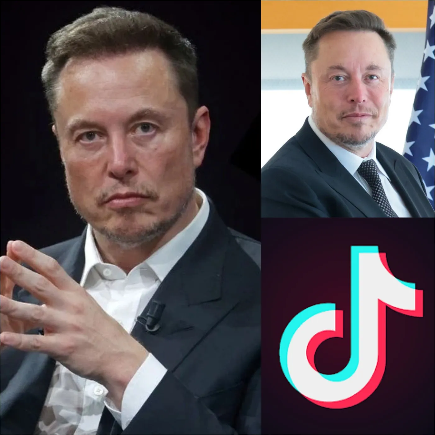 Elon Musk Spends $10 Million to Acquire Exclusive Control of TikTok