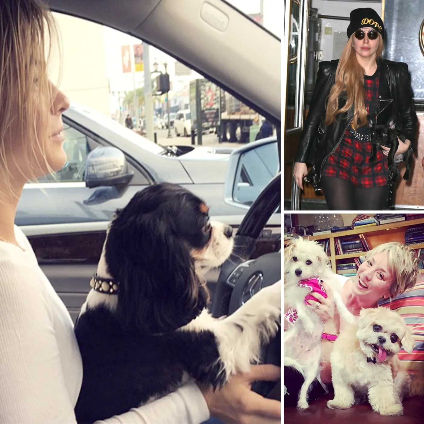 On the Side in Kaley Cuoco dog drama after fight with ex boyfriend