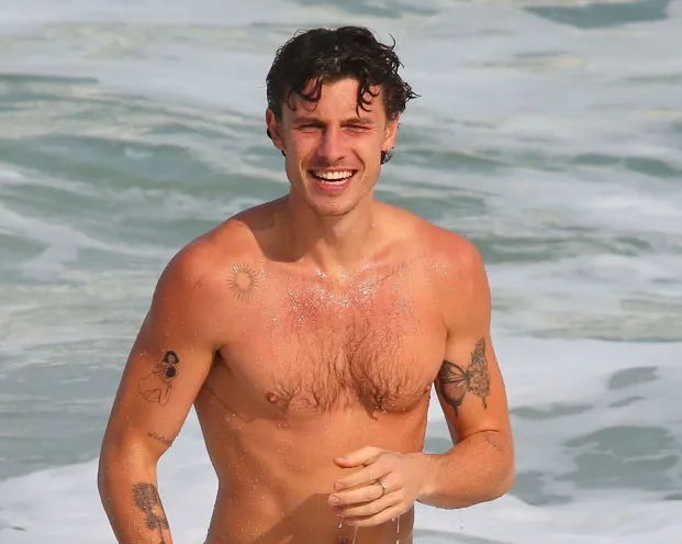 Shawn Mendes Sues for Privacy Invasion, Stalker Did This...