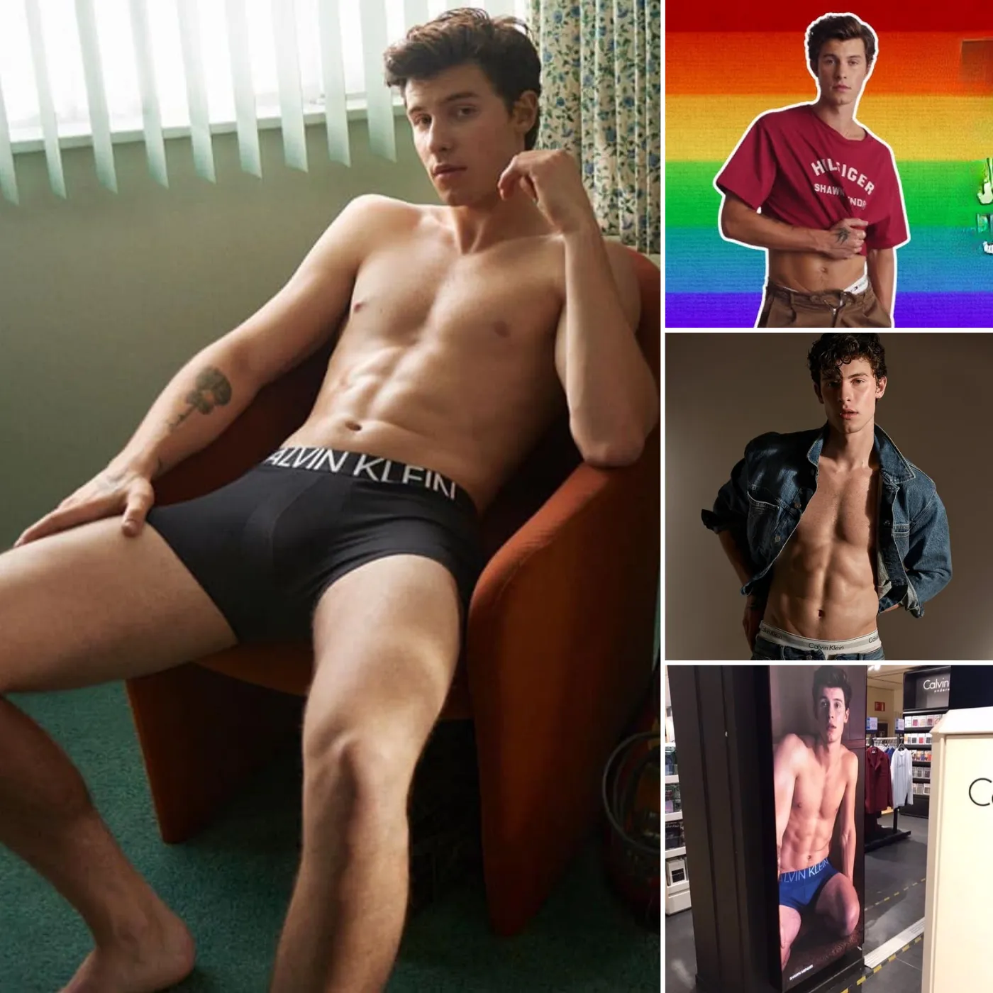 Shawn Mendes Sparks Outrage: A Career in Crisis or Bold Reinvention?