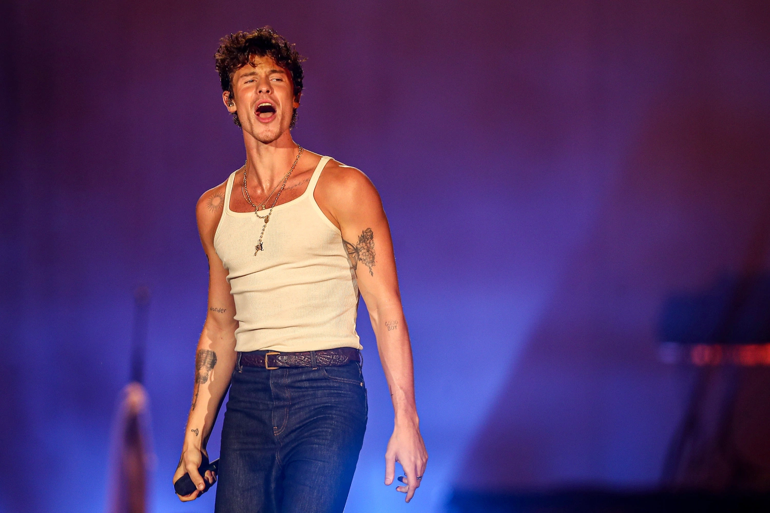 Shawn Mendes’ Career Break – A Step Tow