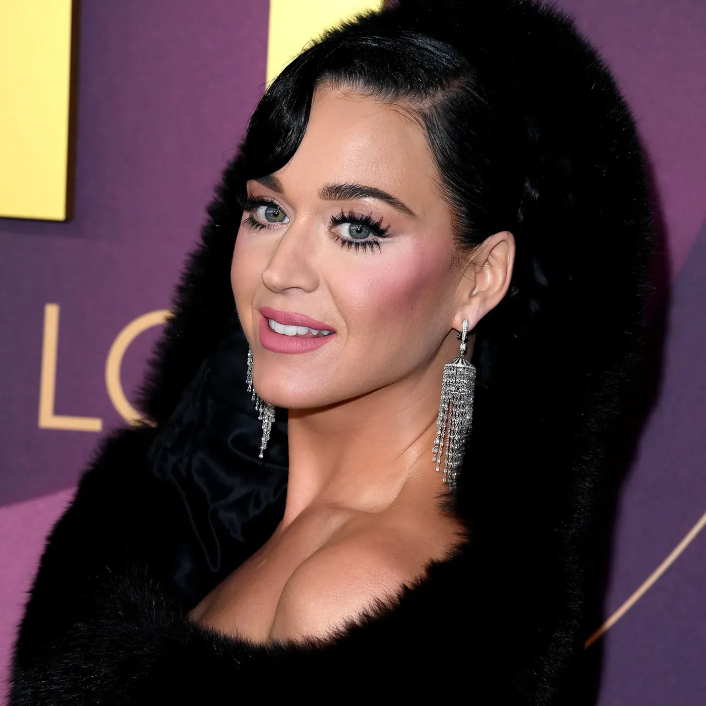 The Truth About Katy Perry's 'Perfect Family'