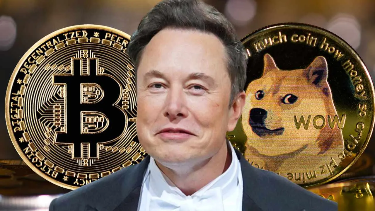 Musk is accused of illegally manipulating the price of Dogecoin 2 Elon Musk: Bitcoin Will Make It — Dogecoin to the Moon – Markets and Prices Bitcoin News