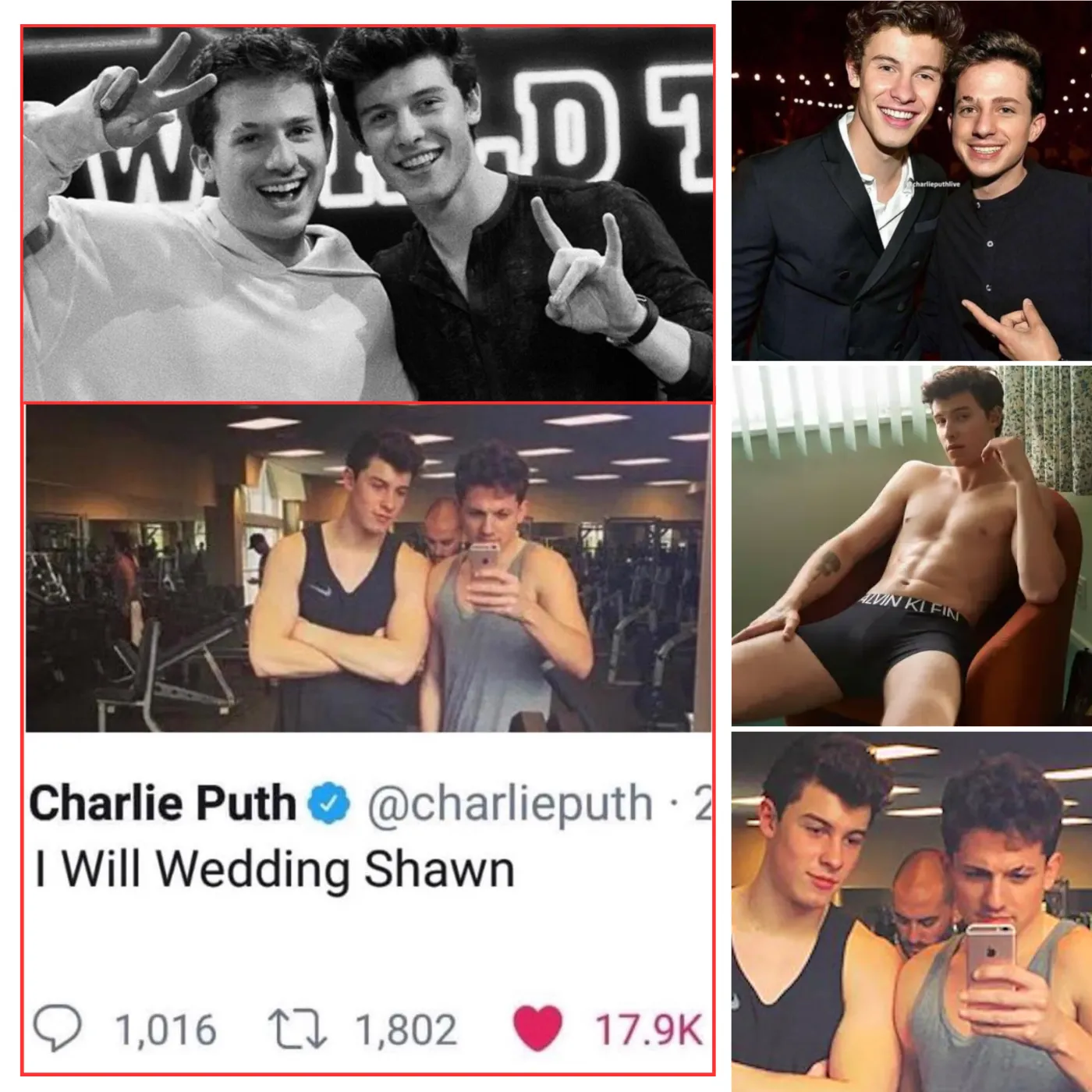 A Secret Love Story: What’s Really Happening in Charlie Puth and Shawn Mendes’ Upcoming MV?