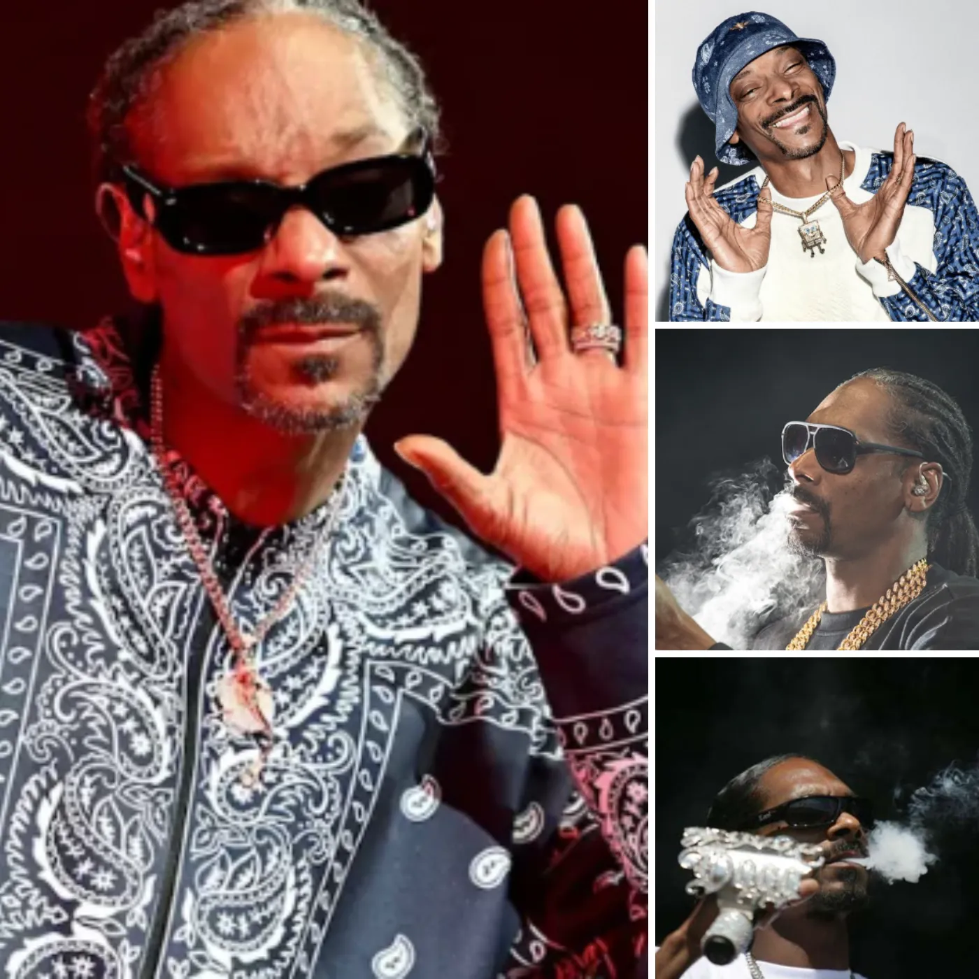 Snoop Dogg From Hip-Hop to Obscurity: The Sudden Fade