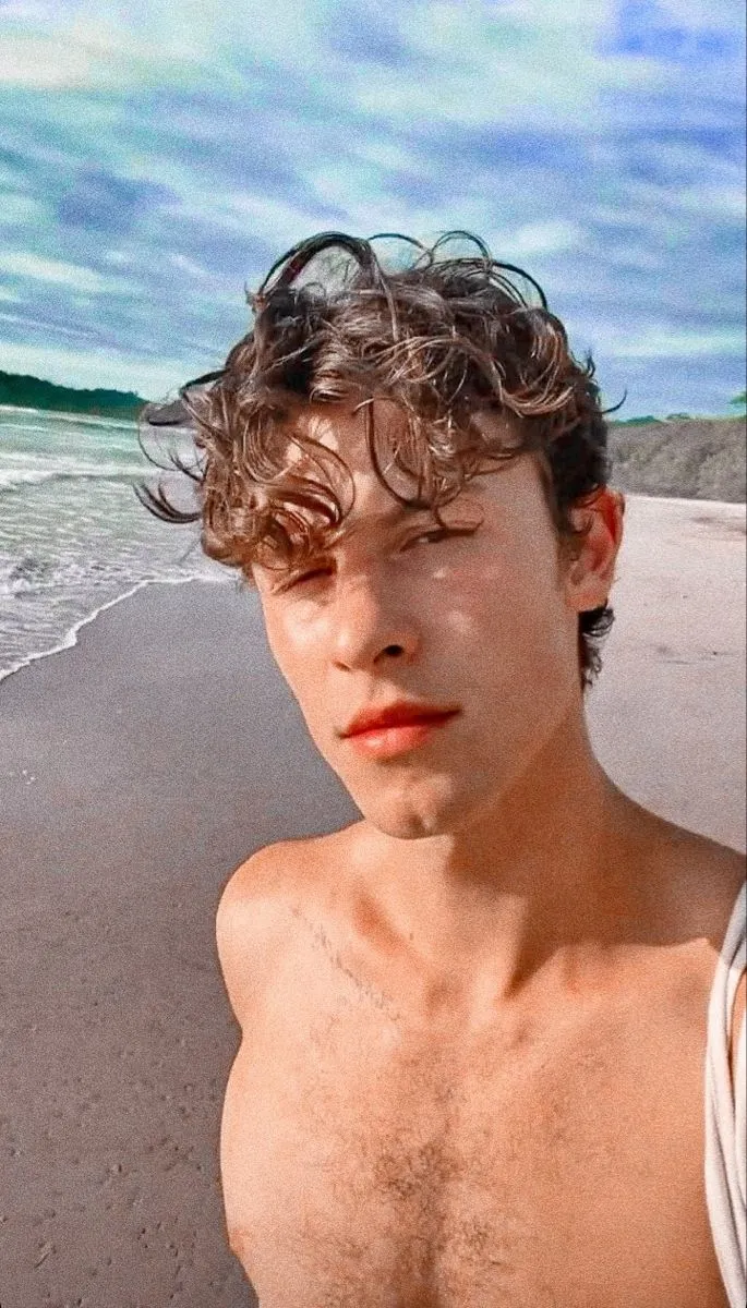 Shawn Mendes' New Album Is Personal—It Could Be Gender-Based 2 Shawn Mendes' New Album Is Personal—It Could Be Gender-Based