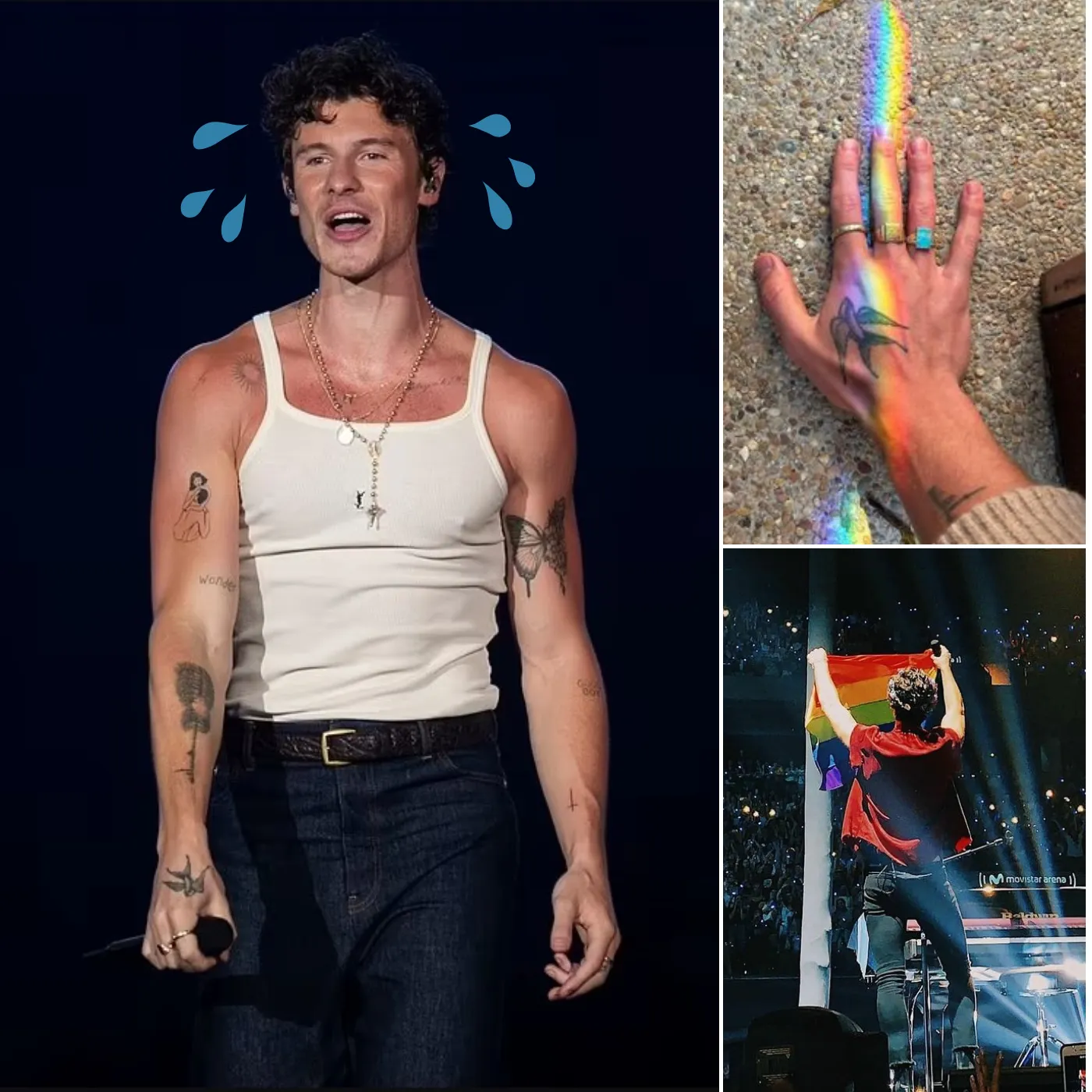 Shawn Mendes' New Album Is Personal—It Could Be Gender-Based