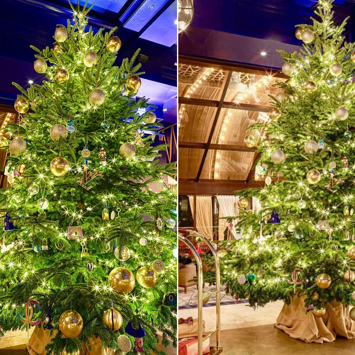 Luxurious Pine Tree at Emirates Palace A Symbol of Prosperity or Just Showcase