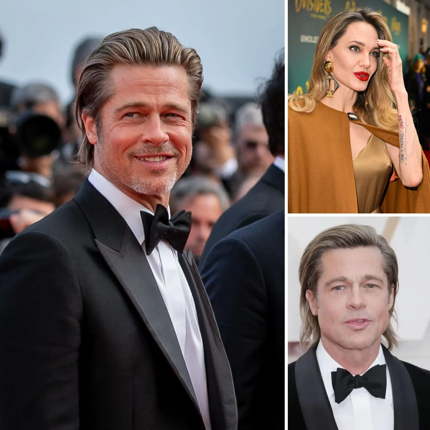 Revealing Evidence of Brad Pitt’s Abuse of Ex-Wife Angelina Jolie During Their Marriage