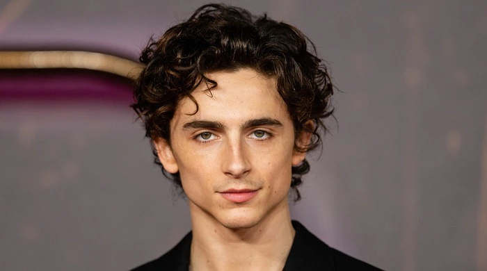 Timothée Chalamet: The Rejections From Directors Before Becoming a Hollywood Star