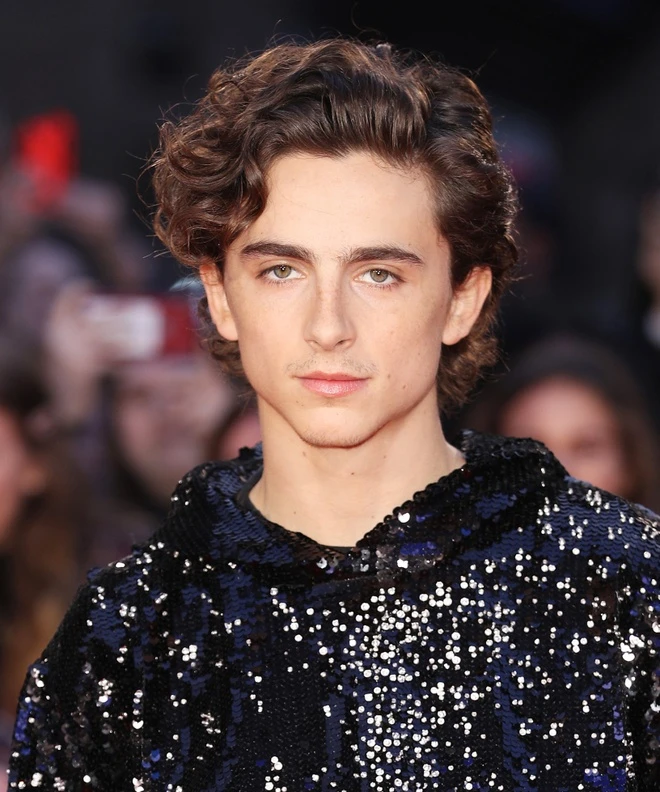 Timothée Chalamet: The Rejections From Directors Before Becoming a Hollywood Star