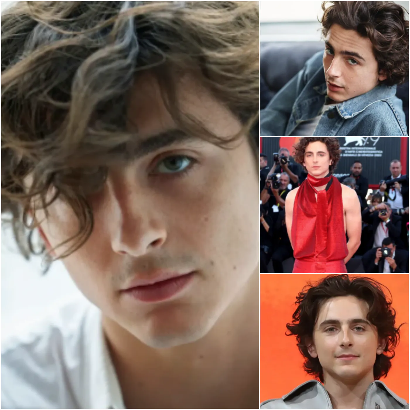 Timothée Chalamet: The Rejections From Directors Before Becoming a Hollywood Star