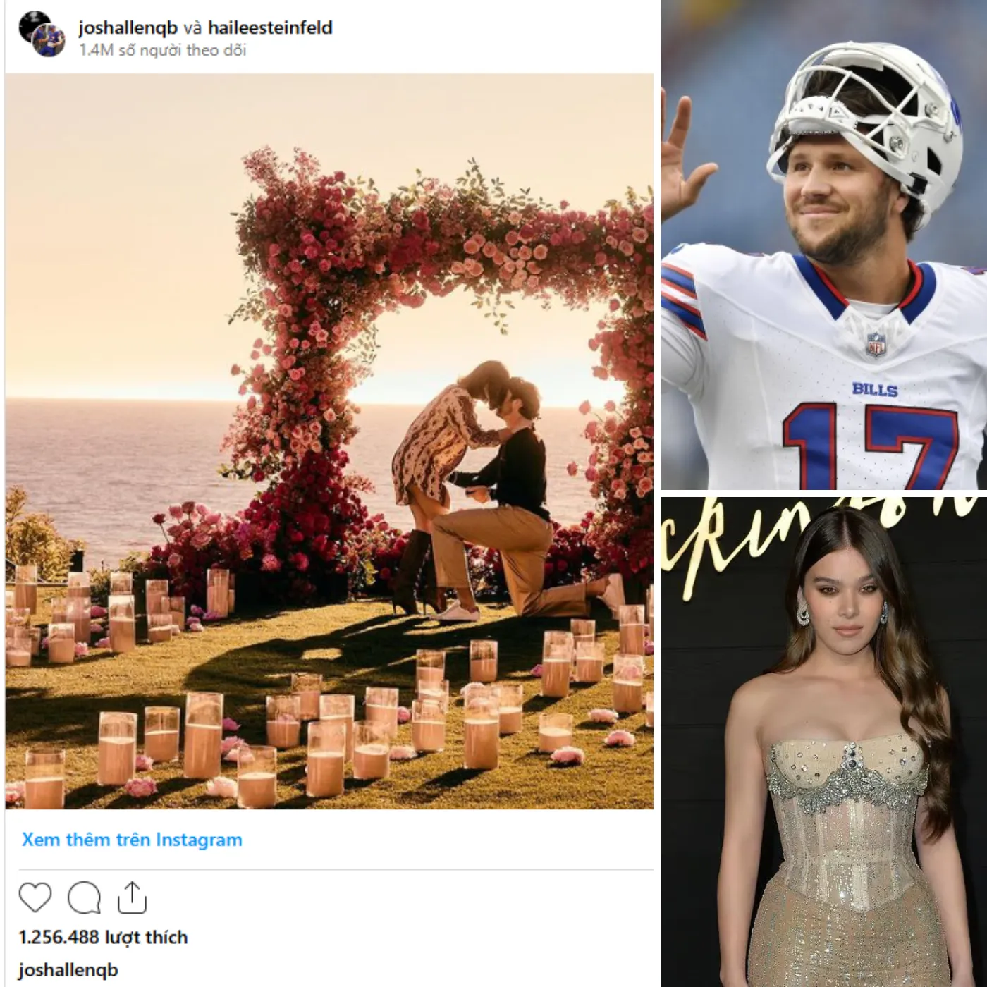 Hailee Steinfeld Overcomes Family Pressure After Josh Allen's Proposal.