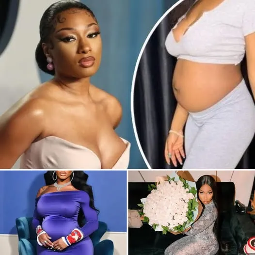 Megan Thee Stallion's Shocking Pregnancy News