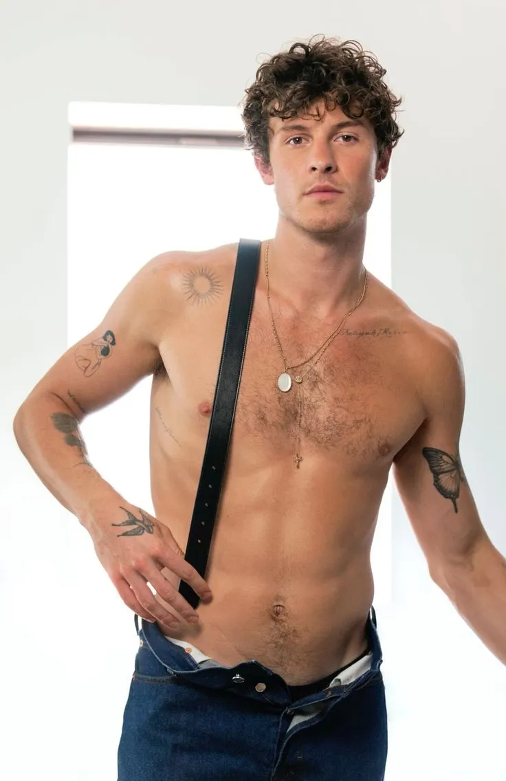 Shawn Mendes in 2024: Love Icon or Relationship Ruiner?