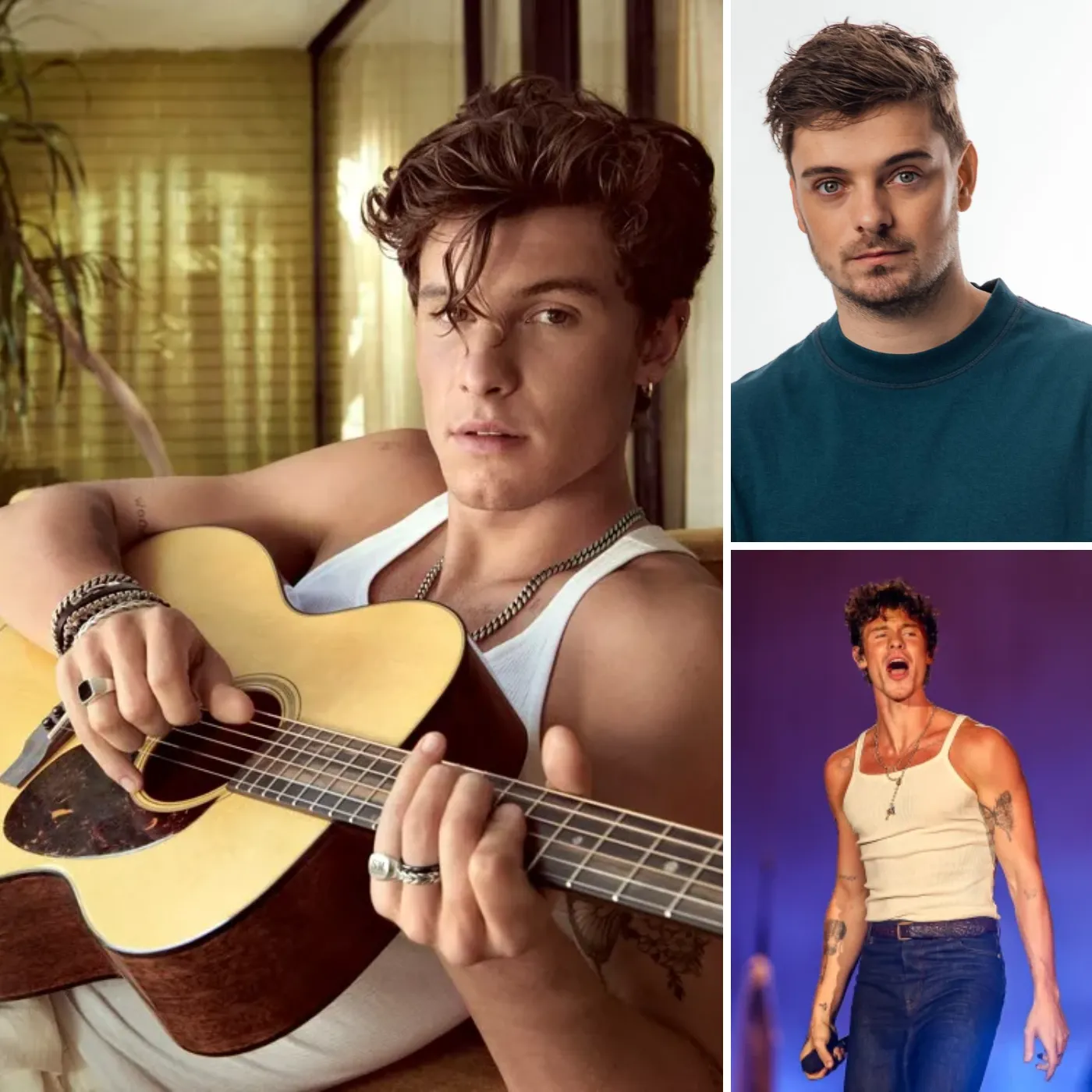 Shawn Mendes and Martin Garrix The rise of a new generation or just old wine in new bottles