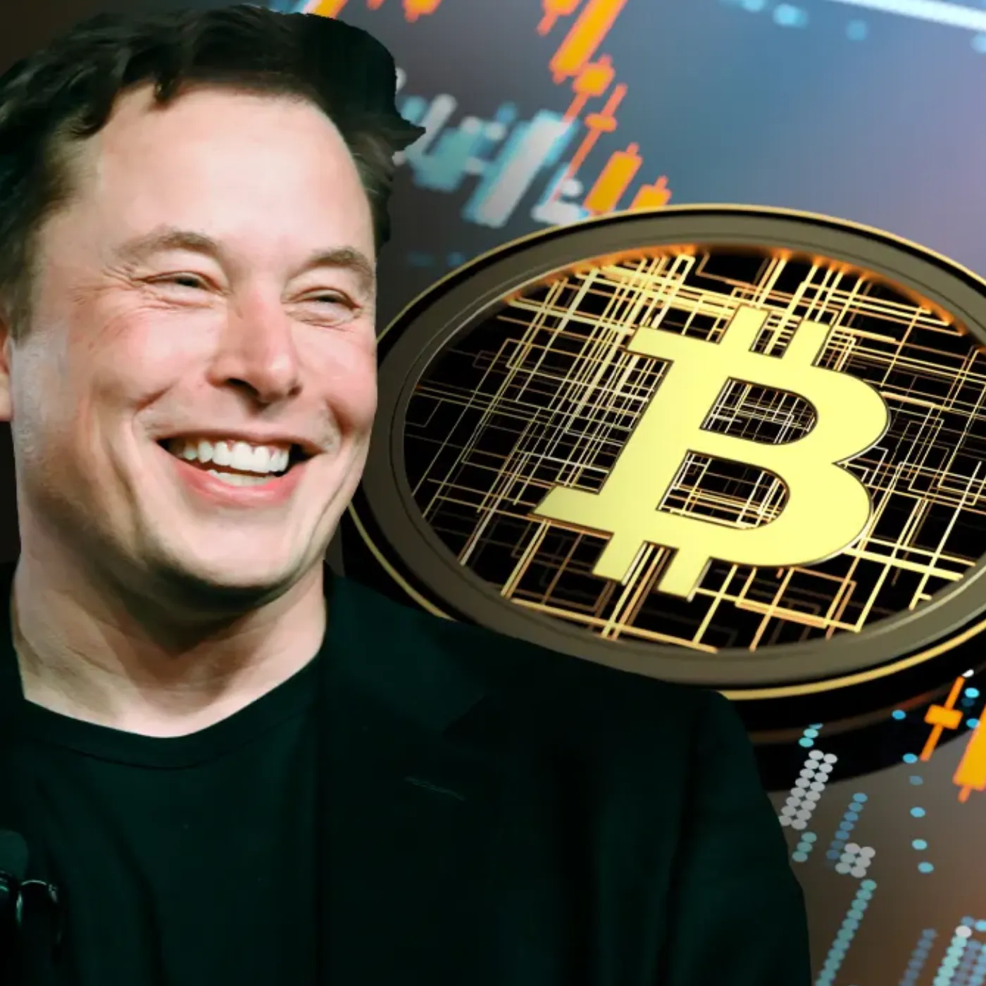 Elon Musk's Support for a New Cryptocurrency Causes Its Value to Soar, Rapidly Turning It into the Latest Craze Among Investors