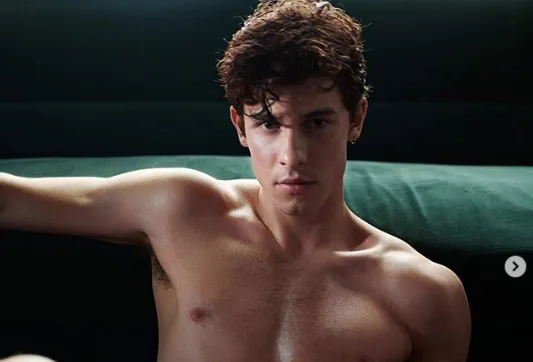 Shawn Mendes and his boyfriend held a secret wedding, an event that surprised the whole world.