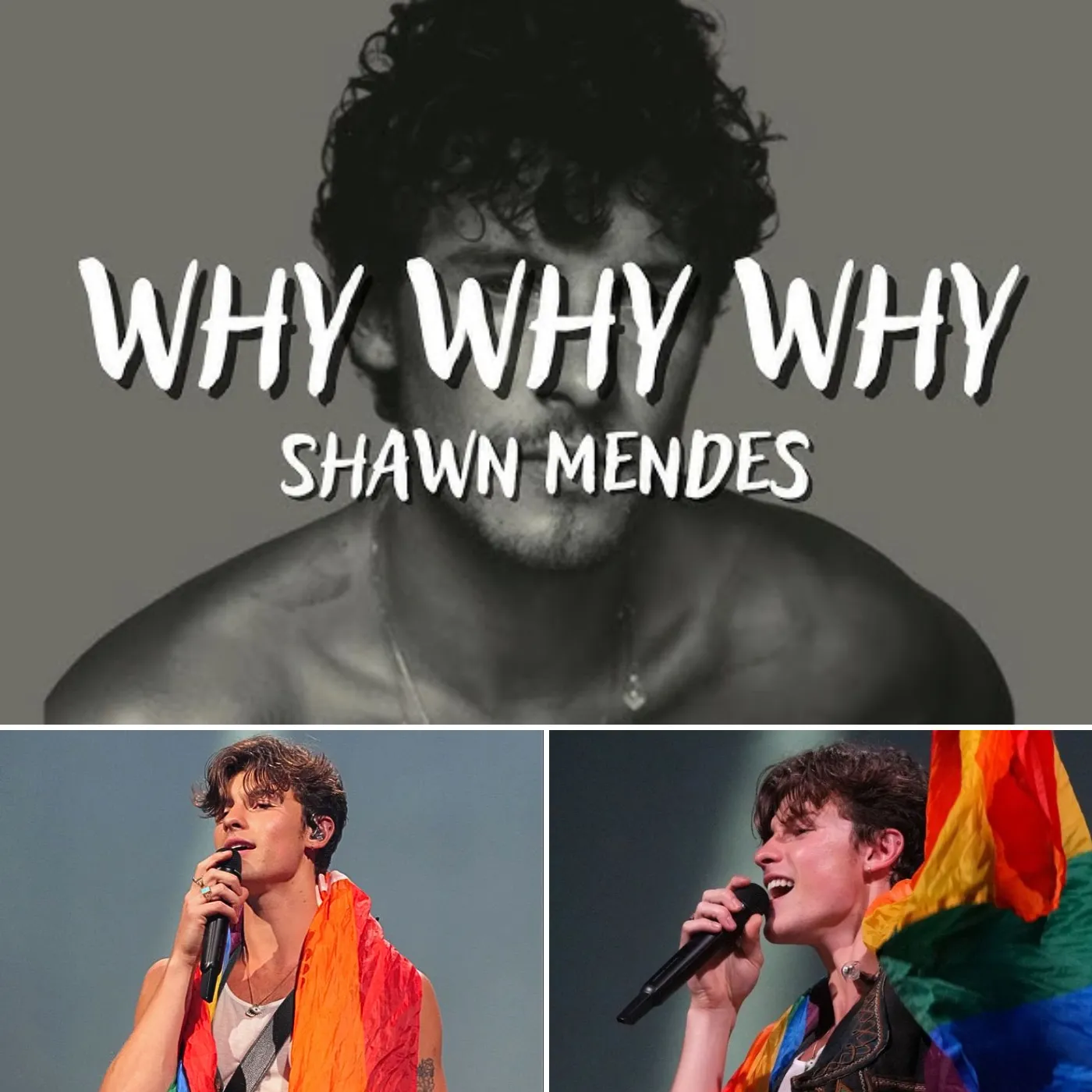 "Why, Why, Why" or "I’m Lying, Lying, Lying"? Shawn Mendes Makes a Shocking Revelation About His Love Life