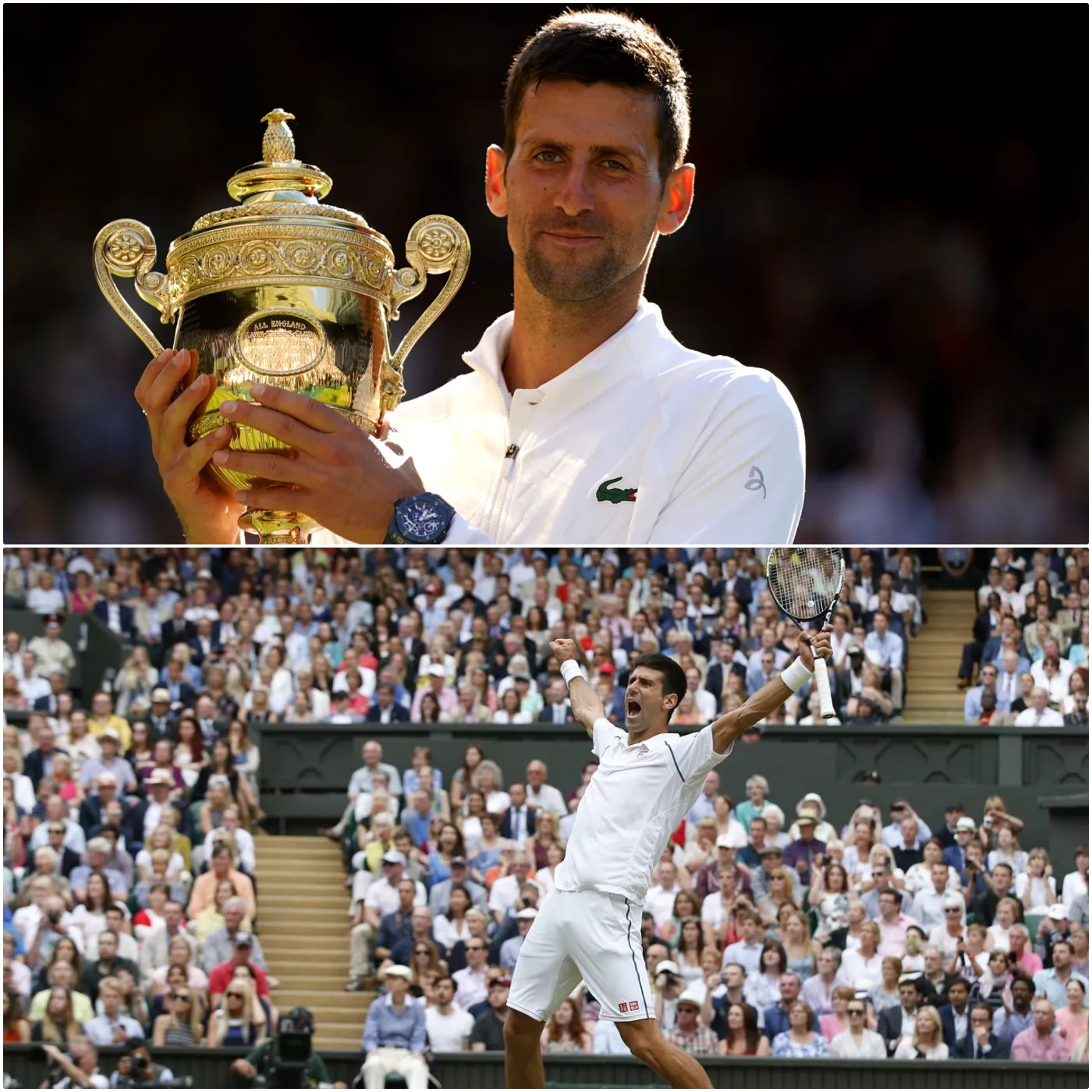 The Incident That Left Djokovic Psychologically Scarred 2 The Incident That Left Djokovic Psychologically Scarred