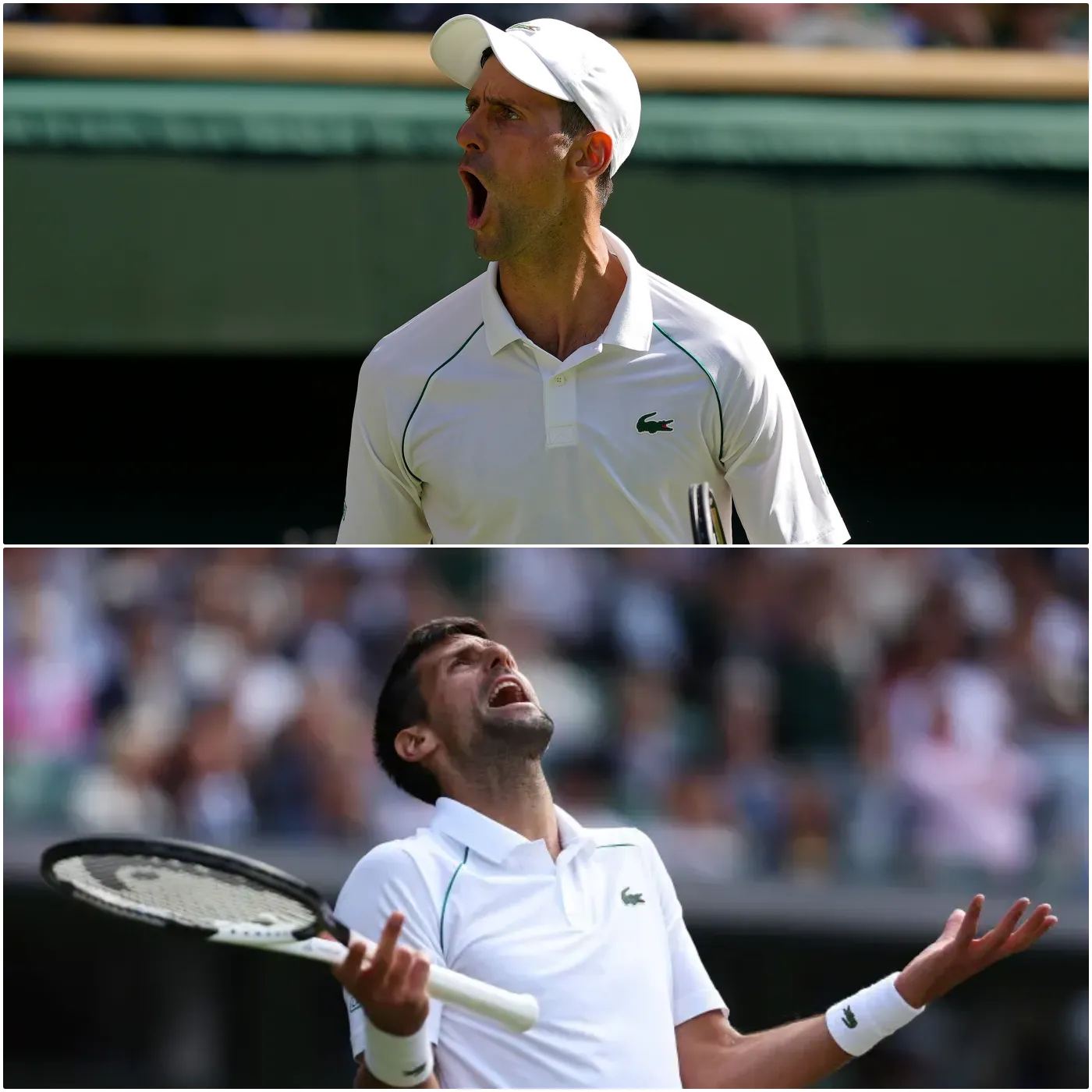 The Incident That Left Djokovic Psychologically Scarred 3 The Incident That Left Djokovic Psychologically Scarred