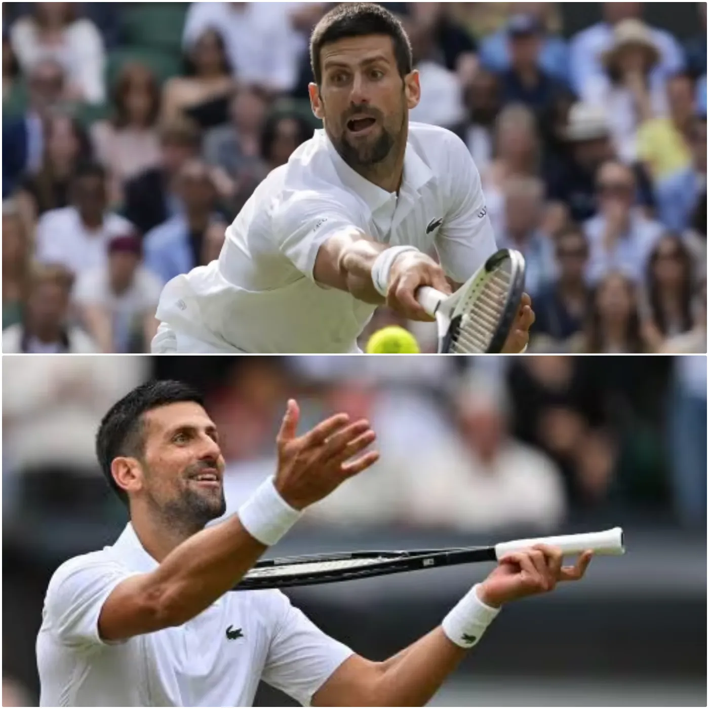 The Incident That Left Djokovic Psychologically Scarred 4 The Incident That Left Djokovic Psychologically Scarred