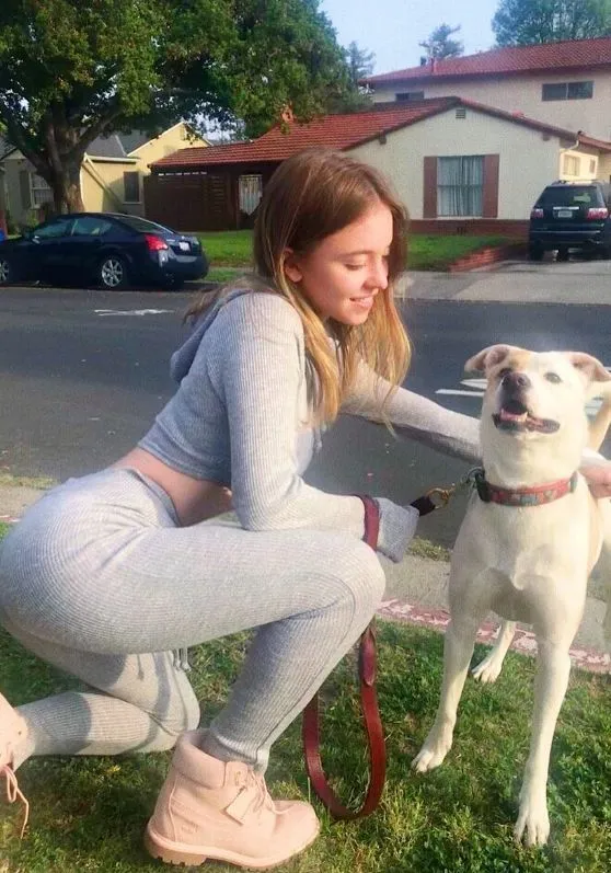 Sydney Sweeney Didn't Just Shatter a Heart—She Destroyed a Family's Future for Her Own Benefit