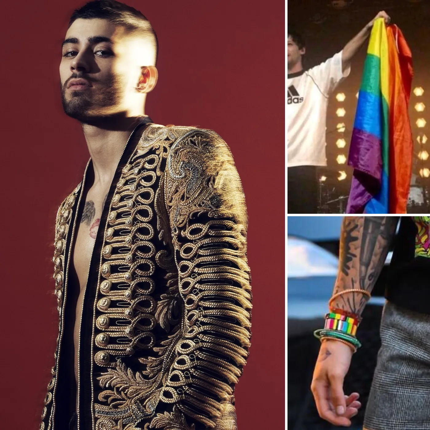 Zayn Malik Reveals His Shocking Decision To Love Men Instead Of Women