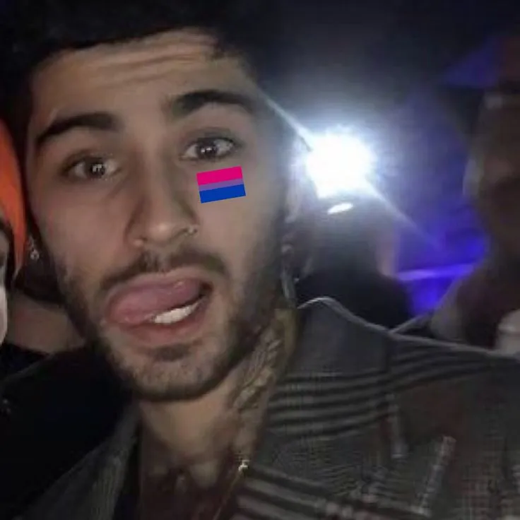 Zayn Malik Reveals His Shocking Decision To Love Men Instead Of Women