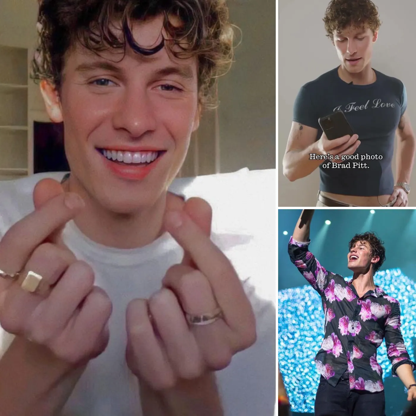 Shawn Mendes: The Unexpected "Babygirl of the Year" – What Does This Mean for His Image?