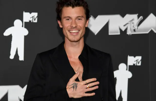 Shawn Mendes and Boxer's Breakup Was Full of Lies, Cheating, and Hidden Scandals 3 Shawn Mendes and Boxer's Breakup Was Full of Lies, Cheating, and Hidden Scandals