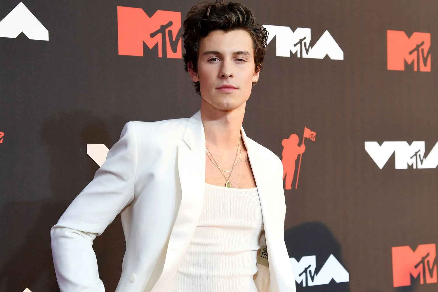 Is Shawn Mendes Just Playing the Gender Game for Attention. 10 Things That Might Make You Think Twice