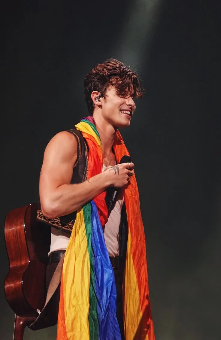 The Real Reason Shawn Mendes Spoke Out About 'Rainbow Relationship' Rumors!