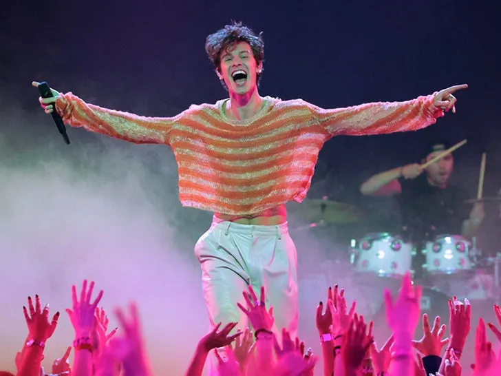 Shawn Mendes Says He's Trying to Figure Out His Sexuality