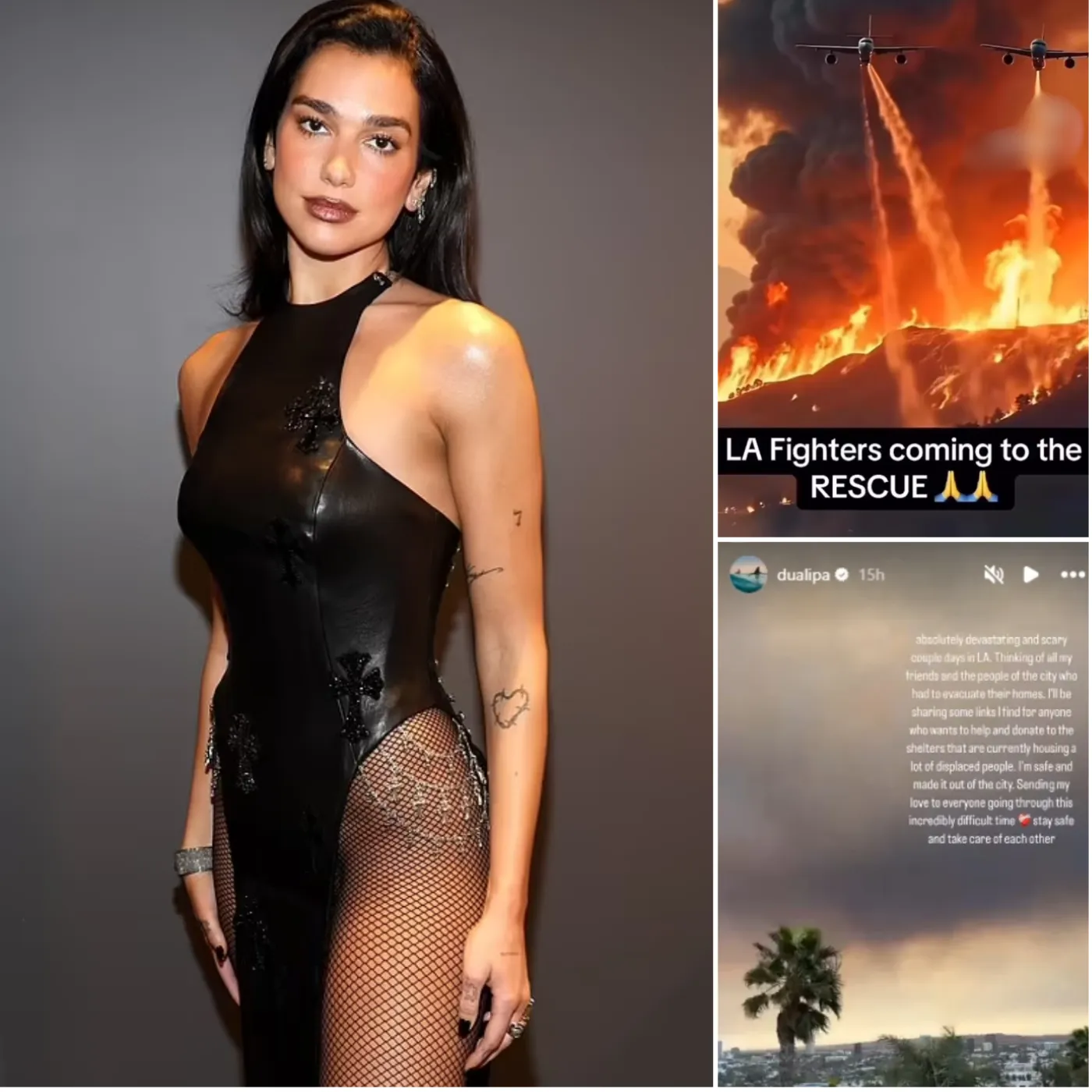 Dua Lipa heavily criticized for leaving LA during the peak of the wildfire disaster