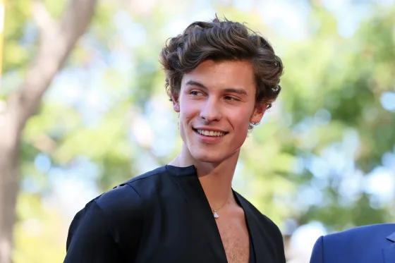 Shawn Mendes Reveals His Shocking Decision to Love Men Instead of Women