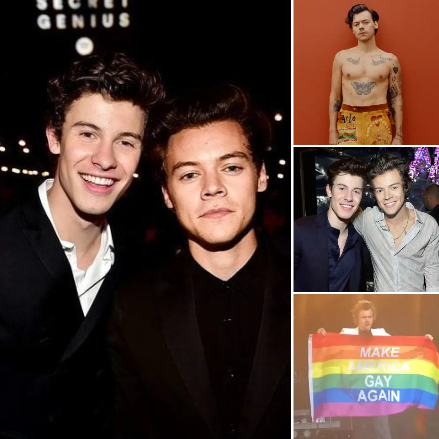 Shawn Mendes Declares He’s Done with Women – Are He and Harry Styles Secretly Dating?