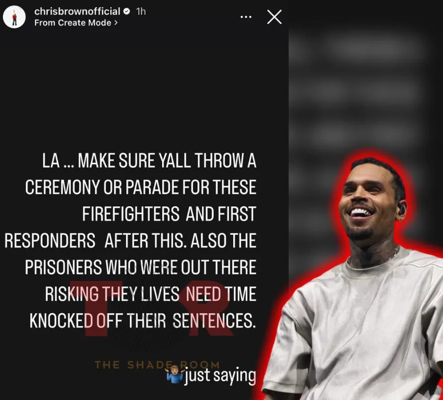 Chris Brown Advocates for Sentence Reductions for Inmate Firefighters Amid L.A. Wildfires 3 Chris Brown Advocates for Sentence Reductions for Inmate Firefighters Amid L.A. Wildfires