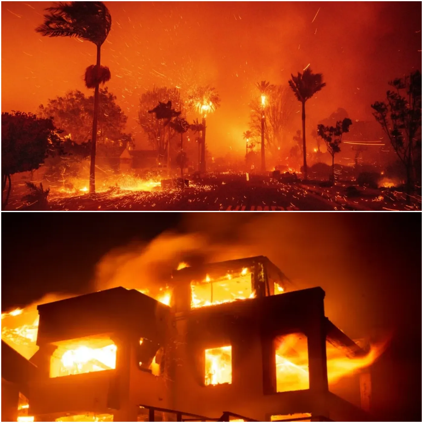 Rapper Snoop Dogg Supports Victims of Wildfires in Southern California 4 Rapper Snoop Dogg Supports Victims of Wildfires in Southern California