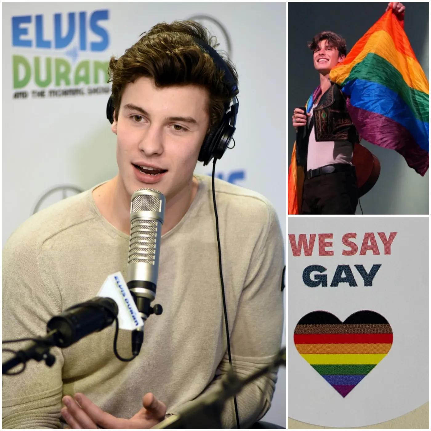 Shawn Mendes Drops Bombshell About His Love Life In New Album Notes