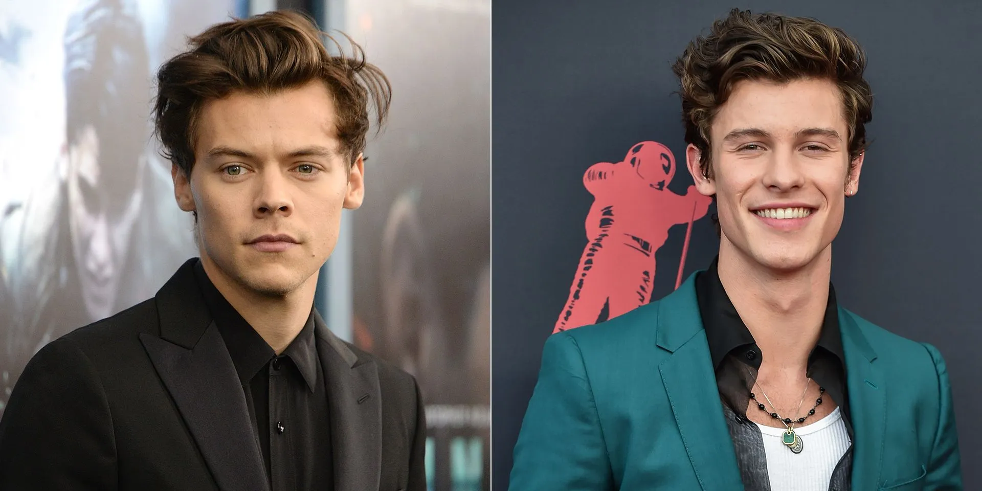 Shawn Mendes and Harry Styles' intimate moments captured on camera