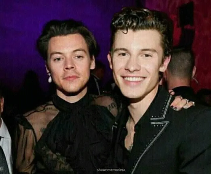 Shawn Mendes and Harry Styles' intimate moments captured on camera