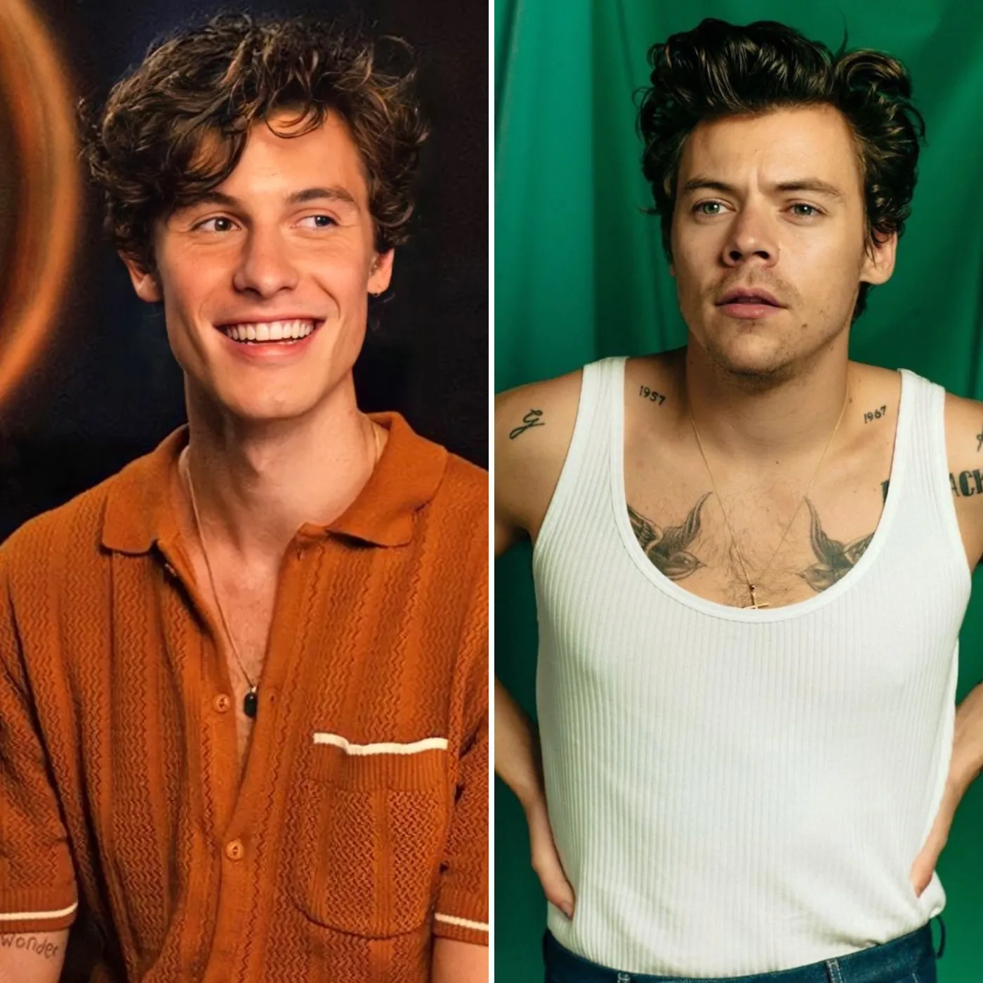 Shawn Mendes and Harry Styles' intimate moments captured on camera