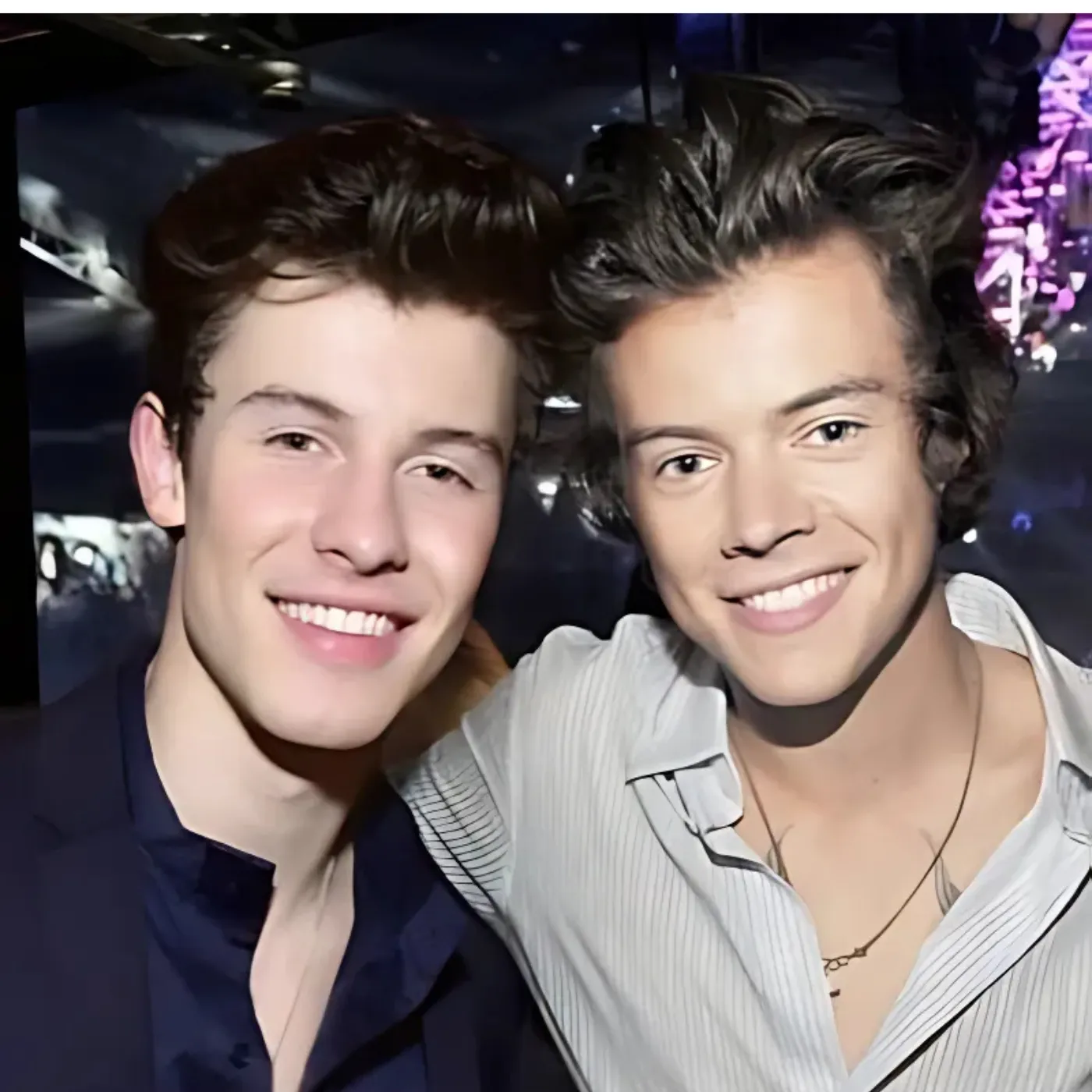 Is Harry Styles Helping Shawn Mendes Explore His Identity?