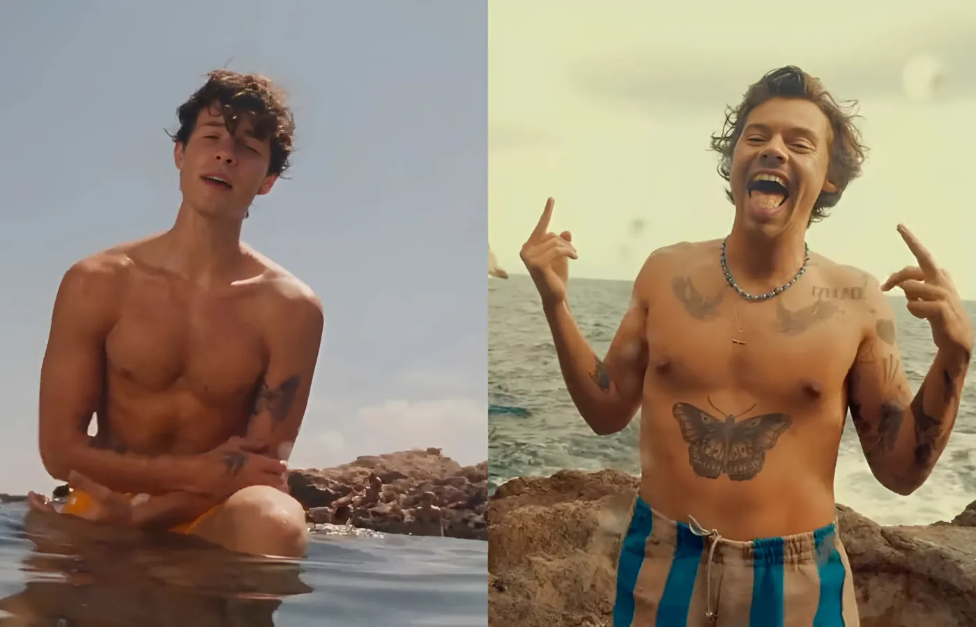 Is Harry Styles Helping Shawn Mendes Explore His Identity?