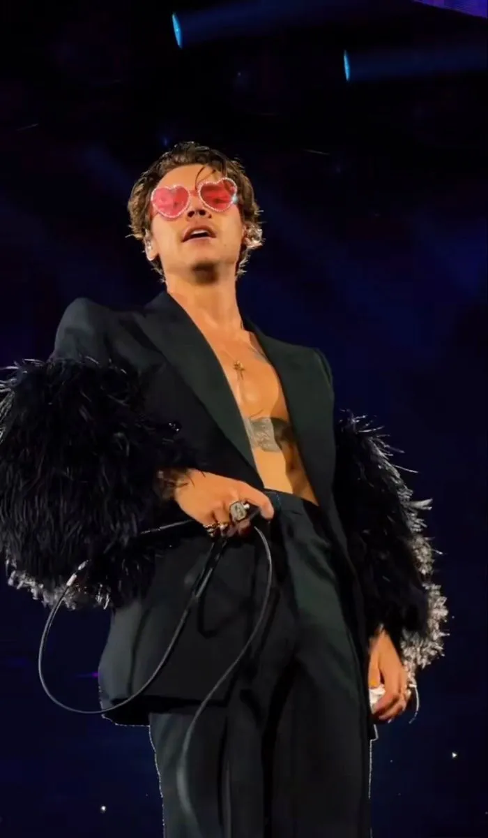 What’s Harry Styles Hiding? The Clues Are in His New Album!