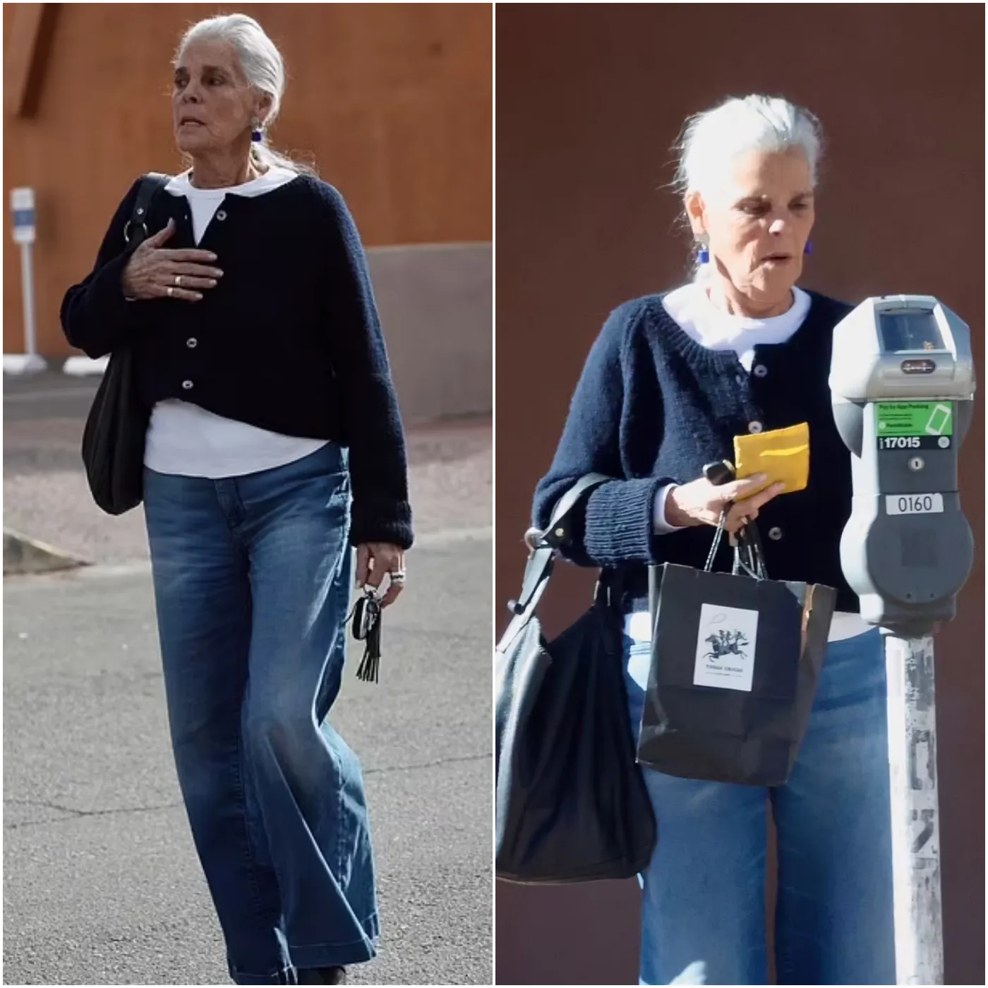 Iconic 70s Star and Steve McQueen's Ex Makes Rare Public Appearance at 85 – Can You Guess Who?